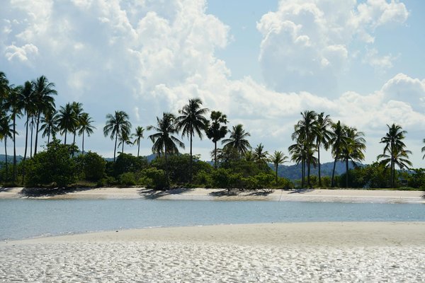 Quels sont les meilleurs conseils pour un road trip économique ?